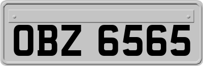 OBZ6565