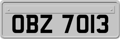 OBZ7013