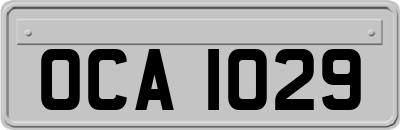 OCA1029