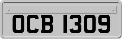 OCB1309