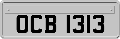 OCB1313