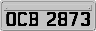 OCB2873
