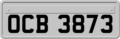 OCB3873