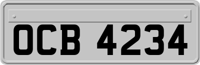OCB4234