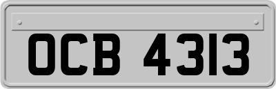 OCB4313