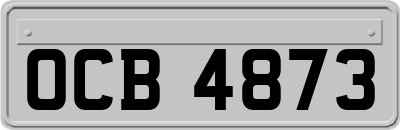 OCB4873