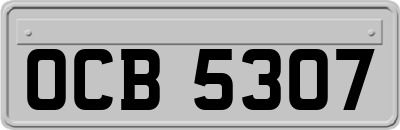 OCB5307