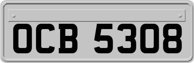 OCB5308