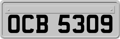 OCB5309