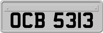 OCB5313