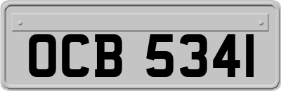 OCB5341