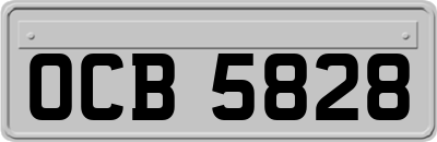 OCB5828