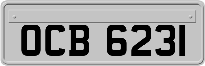 OCB6231