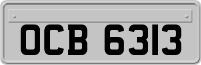 OCB6313