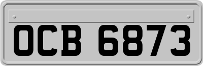 OCB6873