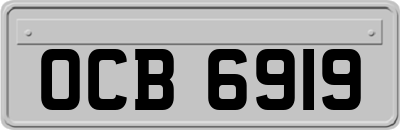 OCB6919