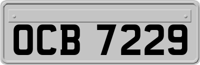 OCB7229