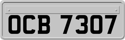 OCB7307