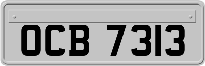 OCB7313