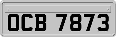 OCB7873