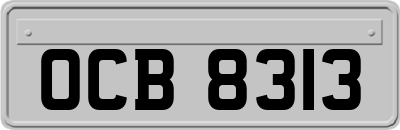 OCB8313