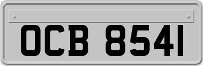 OCB8541