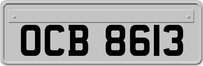 OCB8613
