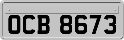 OCB8673