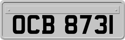 OCB8731