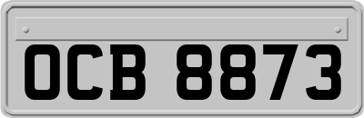 OCB8873