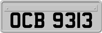 OCB9313