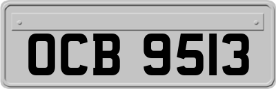 OCB9513