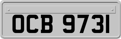 OCB9731