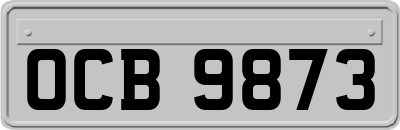 OCB9873