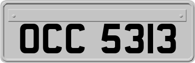OCC5313