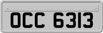 OCC6313