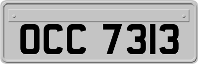 OCC7313