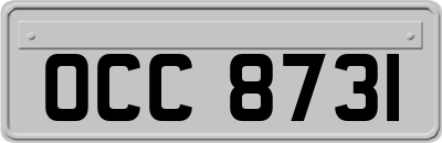 OCC8731