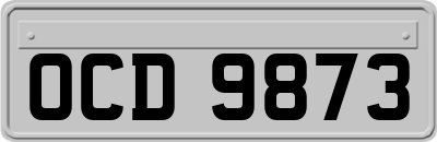 OCD9873