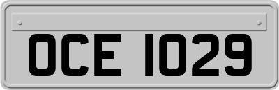 OCE1029