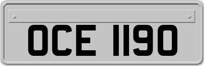 OCE1190