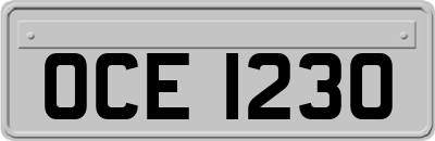 OCE1230