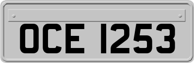 OCE1253