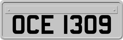 OCE1309
