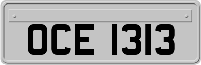 OCE1313