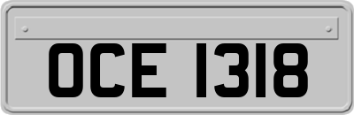 OCE1318