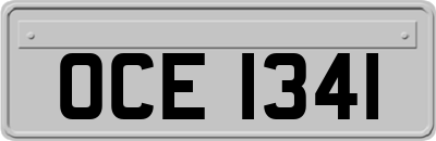 OCE1341