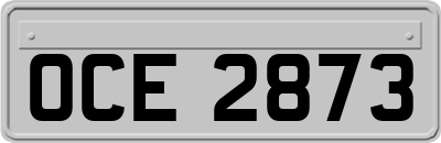 OCE2873