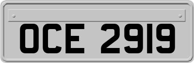 OCE2919