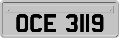 OCE3119